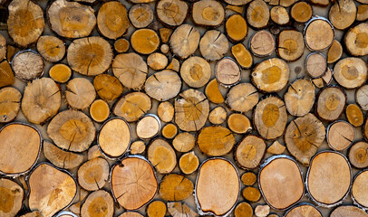 Wall made of pieces of wood - Balboa, El Bierzo, Spain