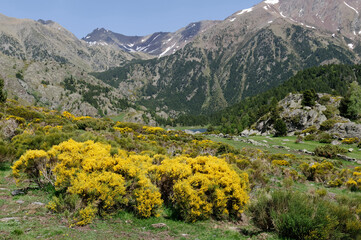 Landscape of Pyrenean Mountains