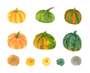 Watercolor set of multicolored pumpkins for autumn and halloween decor, fabric