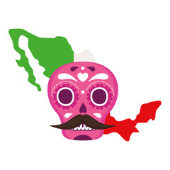 mexico map flag with pink mexican skull, on white background vector illustration design