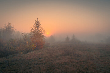 Fototapeta premium Beautiful autumn misty sunrise landscape. Foggy morning at scenic foggy copse with rising sun.