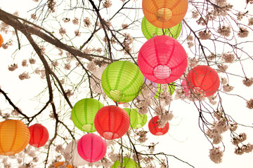 Colorful Lanterns are hung for Festival