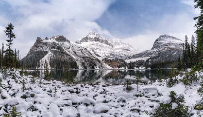 Rocky mountains with snow covered on winter at Lake O'hara, Yoho national park, Canada