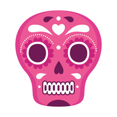 pink mexican skull, on white background vector illustration design