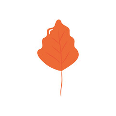 birch leaf icon, flat style
