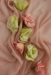 EUSTOMA FLOWER HEADS ON PINK BACKGROUND. FLORAL FASHION PATTERN, TENDER PASTEL FLOWER COMPOSITION, PINK AND GREEN FRESH PLANT