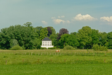 Meadows with trees in the flemish countryside with a fancy old mansion behind