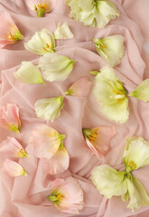 EUSTOMA FLOWER HEADS ON PINK BACKGROUND. FLORAL FASHION PATTERN, TENDER PASTEL FLOWER COMPOSITION, PINK AND GREEN FRESH PLANT