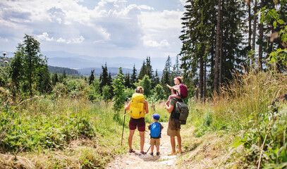 Rear view of family with small children hiking outdoors in summer nature.