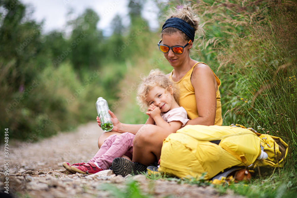 Wall mural Mother with small toddler daughter hiking outdoors in summer nature, resting.