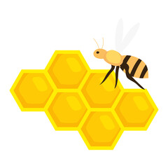 honeycomb with bee on white background vector illustration design