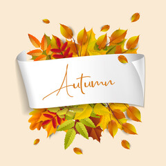 Greetings and gifts for the autumn and autumn season concept. Autumn background, poster and banner template with colorful autumn leaves.