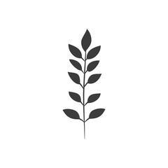 ash leaf icon, silhouette style