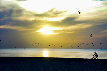 Sunrise with Birds