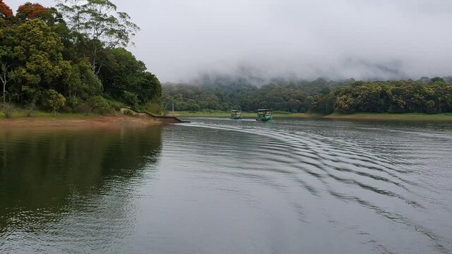 Boat safari in misty lake or foggy river on a winter morning in the wild forest or jungle. Video taken from boat. Indian wildlife. National Park wildlife sanctuary in Thekkady Kerala.