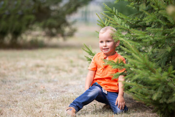 Naklejka na ściany i meble The little boy sits on the grass under the tree.