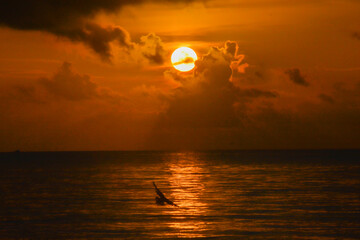 One of the most beautiful sunrises in Miami Beach full of colors 