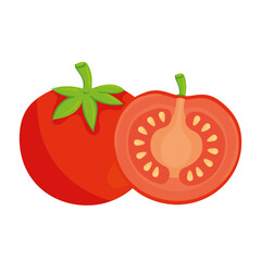fresh tomatoes vegetables in white background vector illustration design