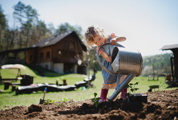 Small girl watering outdoors in garden, sustainable lifestyle concept.
