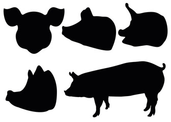 Pig heads and a full-length pig.