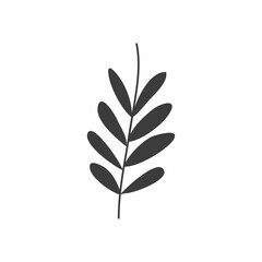 autumn leaves concept, ash leaf icon, silhouette style