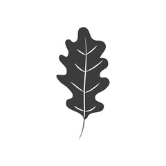 Fototapeta premium autumn oak leaf icon, silhouette style