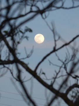 Full moon in blue sky at evening