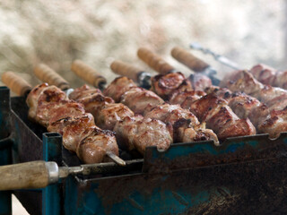 Meat skewers grilled on barbecue grill 