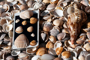 Smart phone among different types of seashells  
