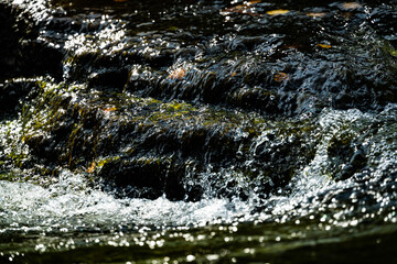 Fototapeta premium Close up of clean clear water rushing over rocks in a river stream.