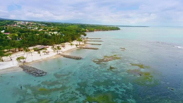 Aerial view of a beach with palm trees