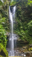 Ahuashiyacu waterfall turistic place in the forest of tarapoto peru