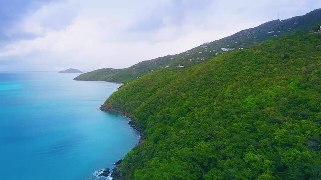 Lush forest covering a hill by the sea