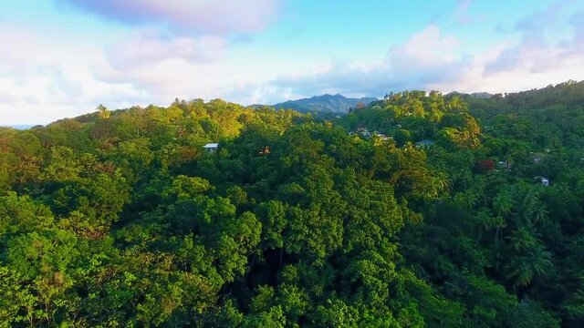 Buildings hidden among the forest