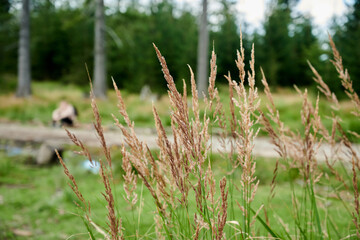 Na szlaku © Dariusz