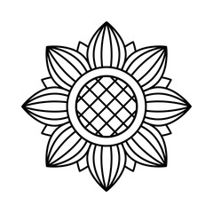 sunflower, vector illustration. linear icon.