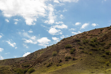 Summer landscape. Green hill in front of the blue cloudy sky
