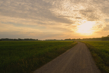Fototapeta premium Bright sunshine rising on a cloudy sky on a rural landscape with gravel pathway