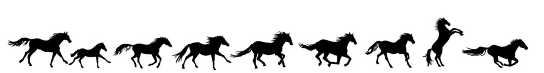 Horses running silhouette vector illustration. Herd of stallions. - obrazy, fototapety, plakaty