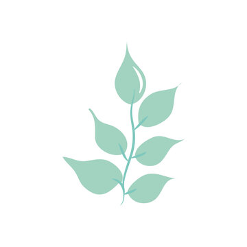 honeylocust leaf icon, flat style