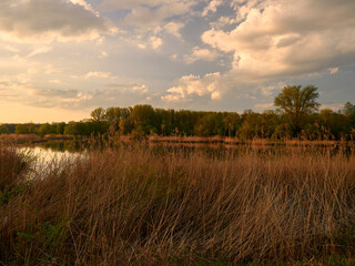Unterwegs zwischen Vogelschutzgebiet NSG Garstadt und der Mainebne bei Hirschfeld und Heidenfeld im Landkreis Schweinfurt, Unterfranken, Bayern, Deutschland