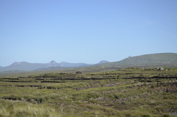 landscape with mountains and trees