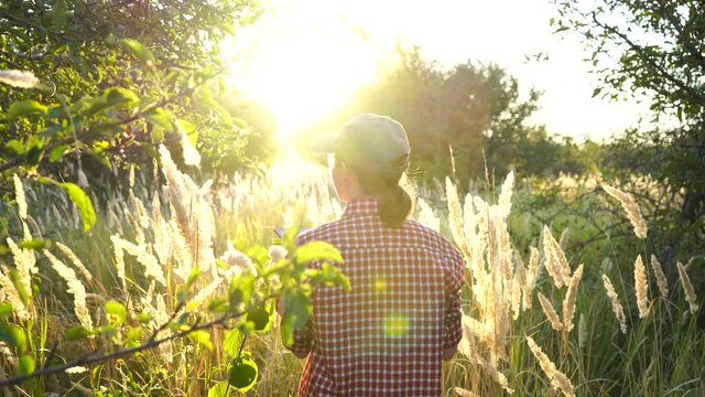 Woman farmer with digital tablet walking through fruit garden at farm. Slow motion