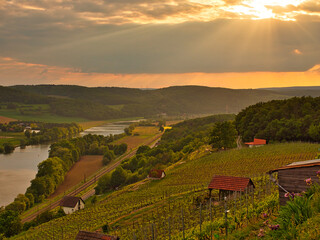 Weinbergterassen zwischen Gambach und  Karlstadt im Naturschutzgebiet Grainberg-Kalbenstein ,...