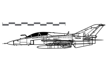 Fototapeta na wymiar Guizhou JL-9, FTC-2000 Mountain Eagle. Vector drawing of supersonic training and light attack aircraft. Side view. Image for illustration and infographics.