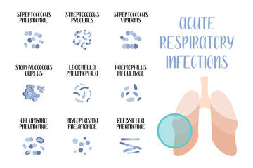 Acute respiratory tract infections. Pathogenic bacteria (cocci, bacilli). Morphology. Microbiology. Vector flat illustration