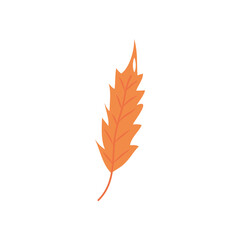 autumn sumac leaf icon, flat style