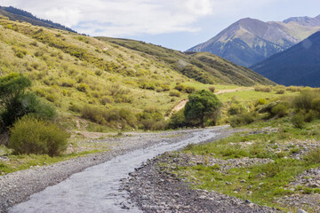 Summer sunny landscape. Mountain river, stones, bushes, hills. Summer, Kazakhstan