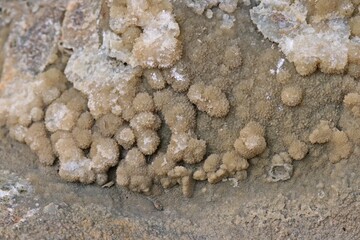 Calzitkristalle (Kalksinter) an Muschelkalk