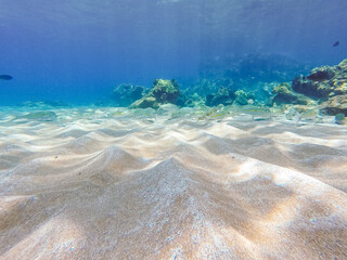 Underwater ocean view with sandy bottom and clear blue tropical water
